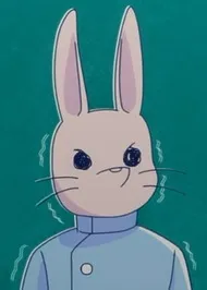 Rabbit Dental Nurse