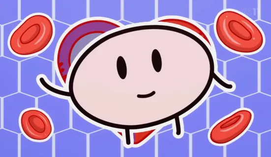 Circulation-kun