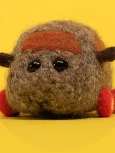 Teddy