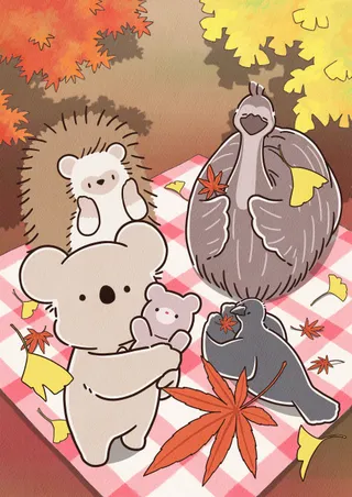 Koala's Diary