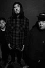 waterweed 