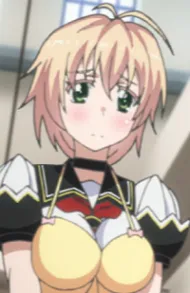 Nova Luminous