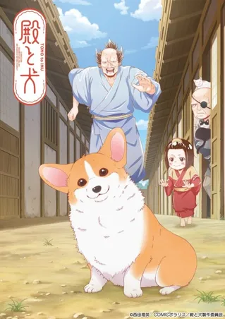 각하와 개