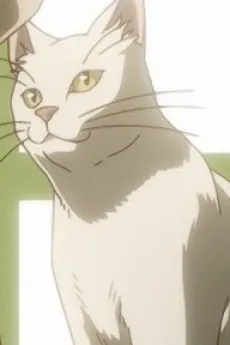 Tim