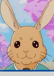 Rabbit Reporter