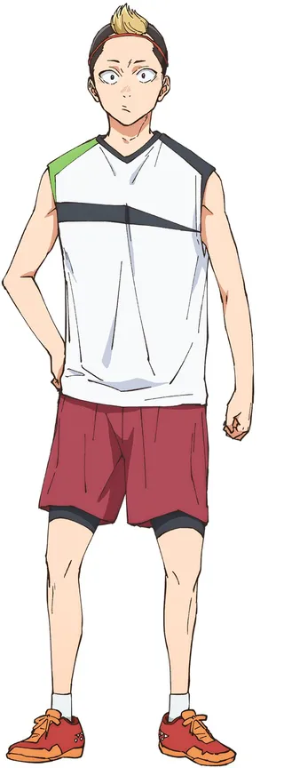 Shoichiro Kishi
