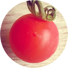 pomodorosa