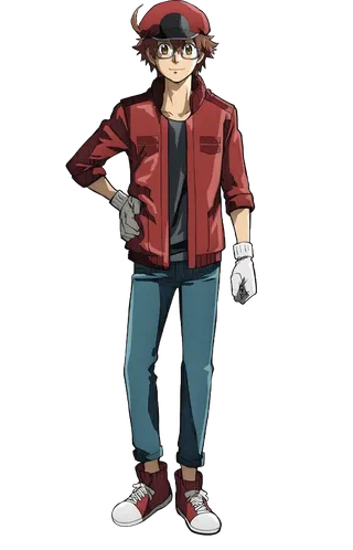 Red Blood Cell（AA2153）