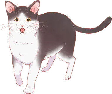 Tama