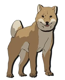 龙