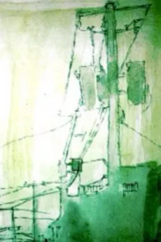 Kenta Miya