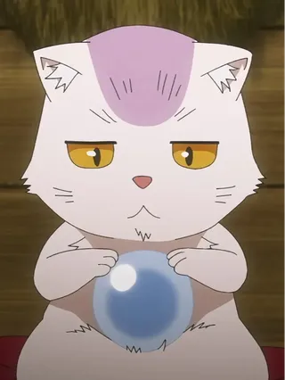 八卦猫