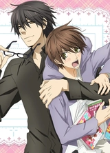 Sekai Ichi Hatsukoi - The World's Greatest First Love