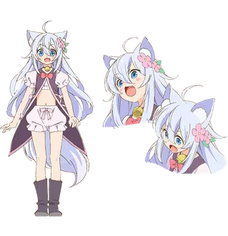 Noela