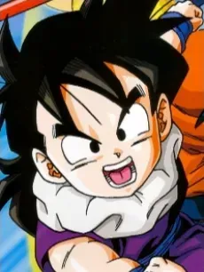 Gohan Son