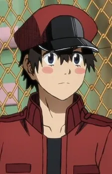 Red Blood Cell(NC8429)