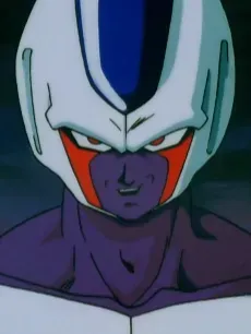 Cooler