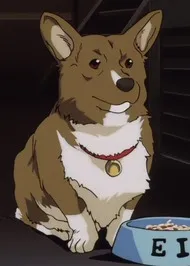 Ein