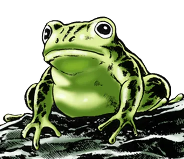 "Memetaa!" Frog