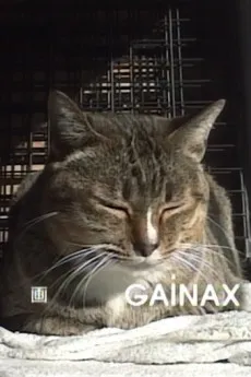 GAINAX no Neko