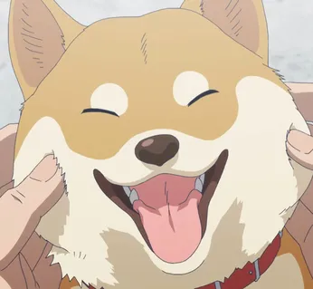 きなこ