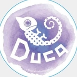 Duca