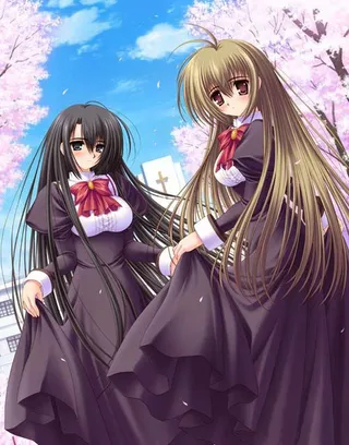 The Maidens Are Falling in Love with Me