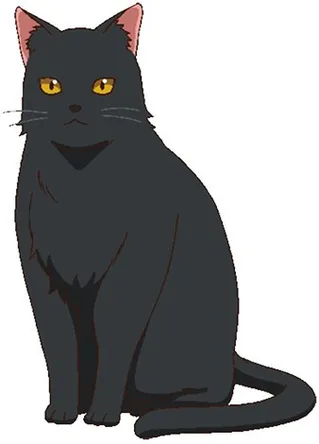 Anko-san