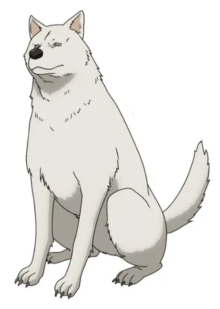 犬