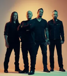 Disturbed