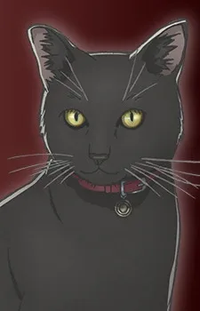 Black Cat