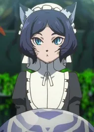 Kaya