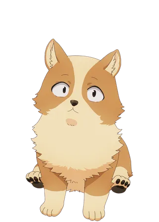 Pochita