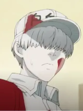White Blood Cell (U-2626)