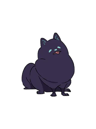 Pomeranian