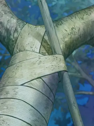 Apple Tree