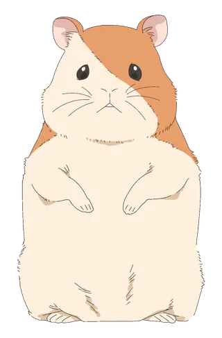 Ham-chan