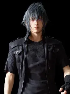 Noctis Lucis Caelum